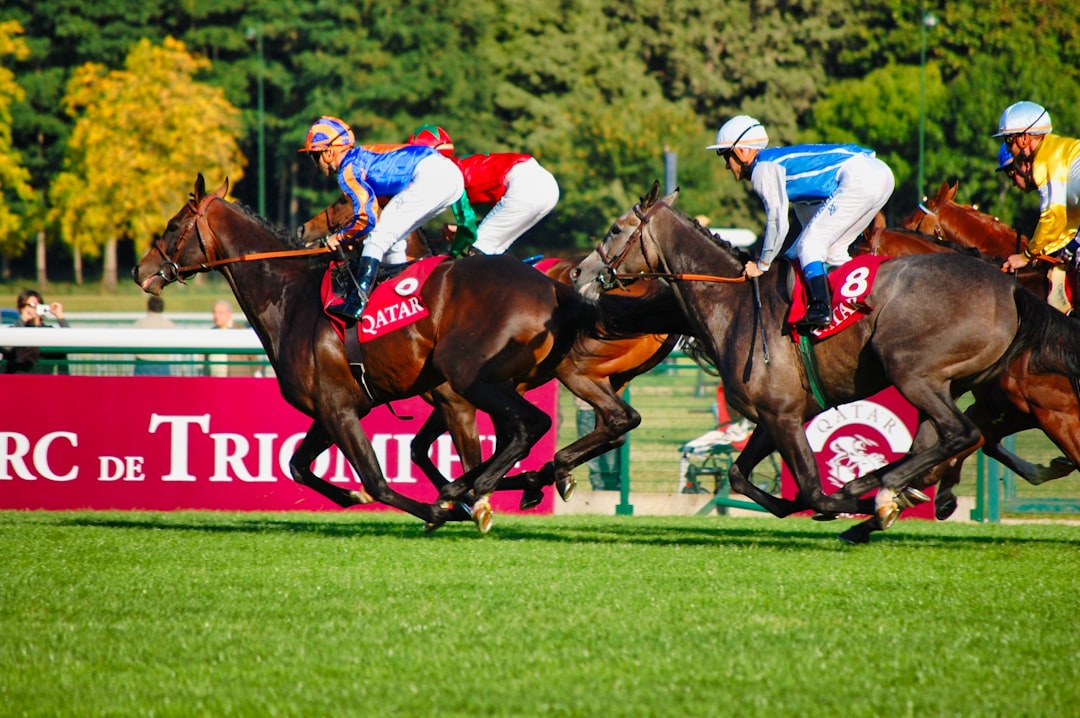 Photo horse racing