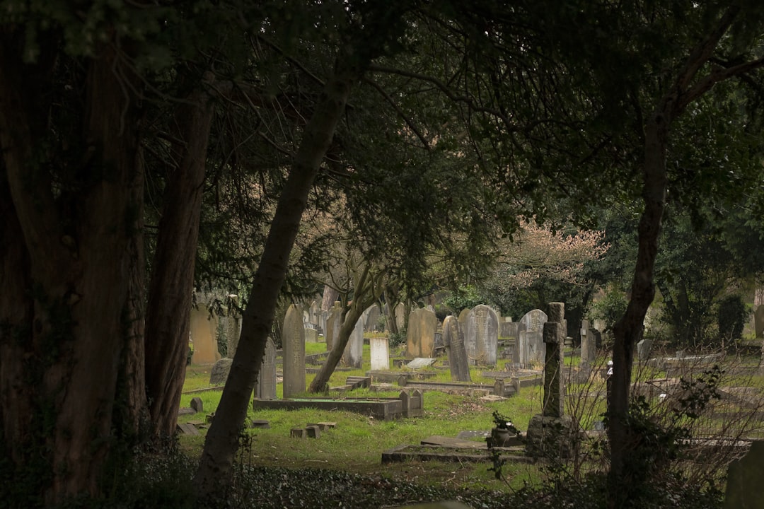 Photo cemetery